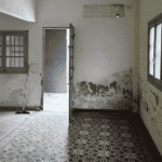 Proyecto y dirección de obra en Zona Norte GBA Fusion Nativa Estudio