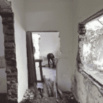 Vivienda contemporánea